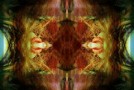 Canopies