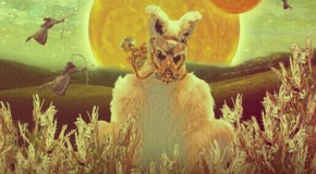 mr. Gnome – Madness in Miniature (2011)