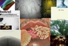 Best Albums of 2011: #20 to #11
